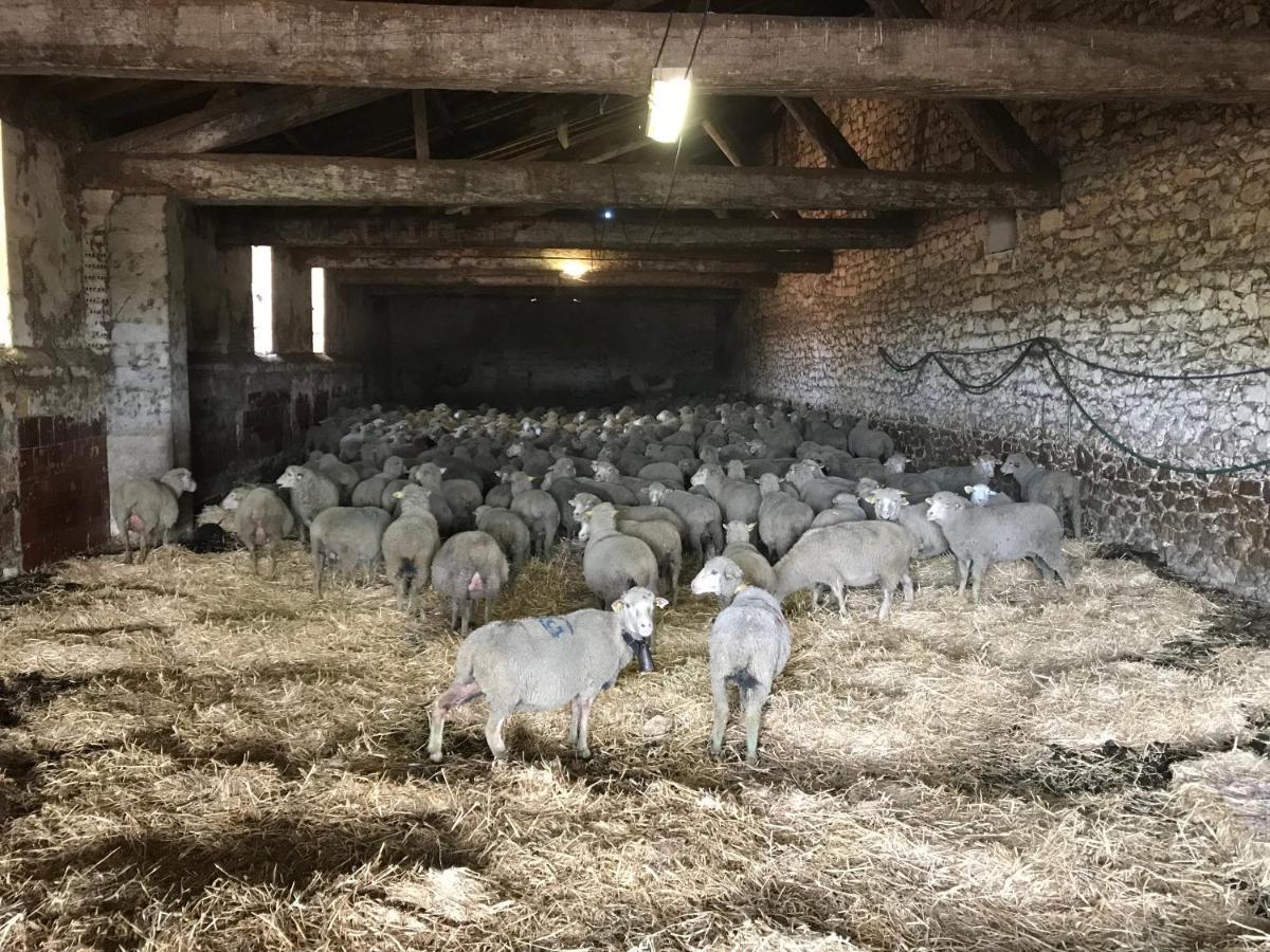 Willa Studio A La Ferme Arles Zewnętrze zdjęcie